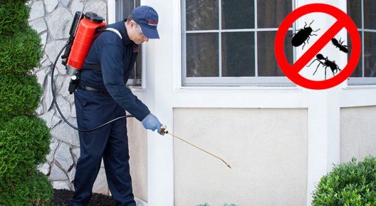 Kadınhanı Bit İlaçlama böcek ilaçlama ve haşere kontrolü — ilaclama-tr.com